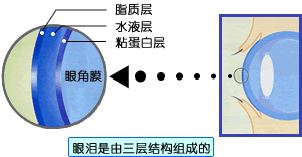 干眼症不同类型发病机制