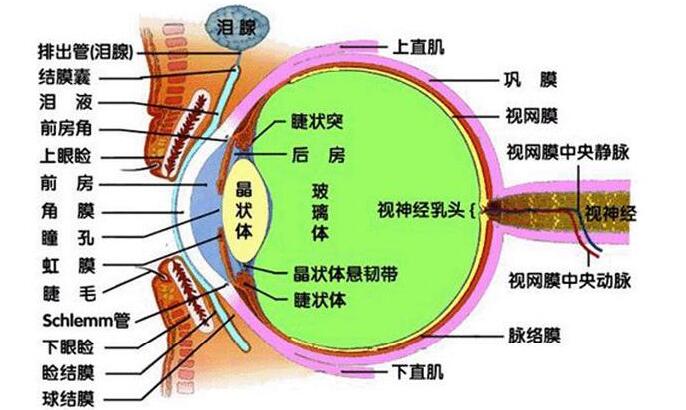 老视的症状有哪些？